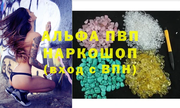 ECSTASY Осинники