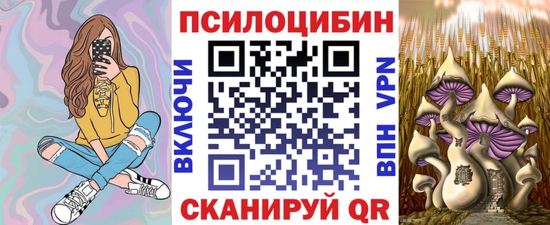 Купить  Петров Вал  Псилоцибиновые грибы Psilocybine cubensis 